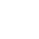 nissa_logo_header